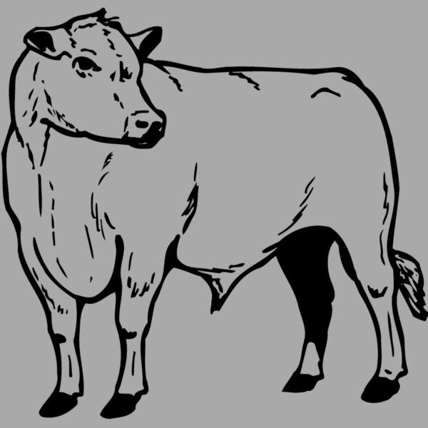 COW013 Thumbnail