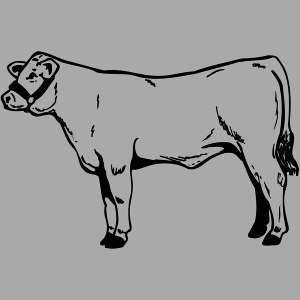 COW017 Thumbnail