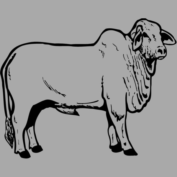 COW019 Thumbnail