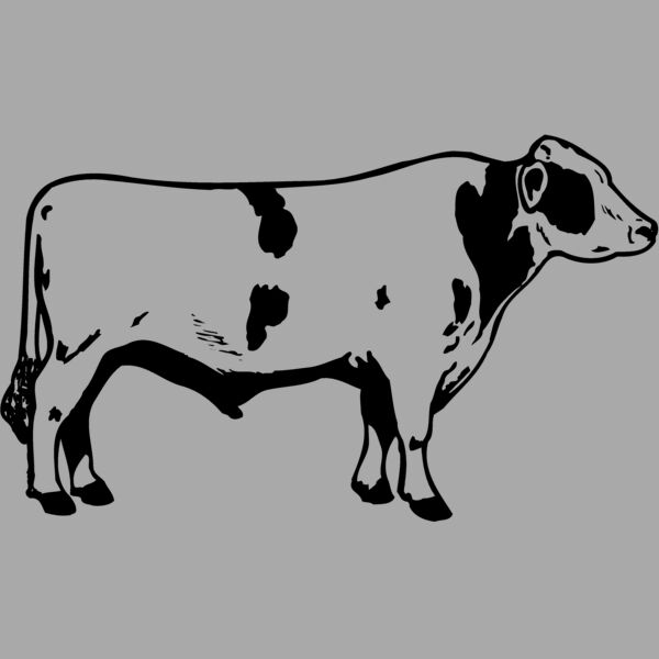 COW020 Thumbnail