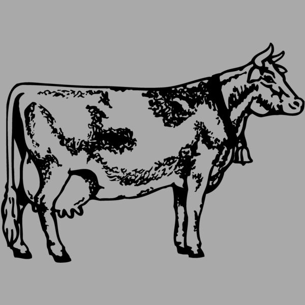COW031 Thumbnail