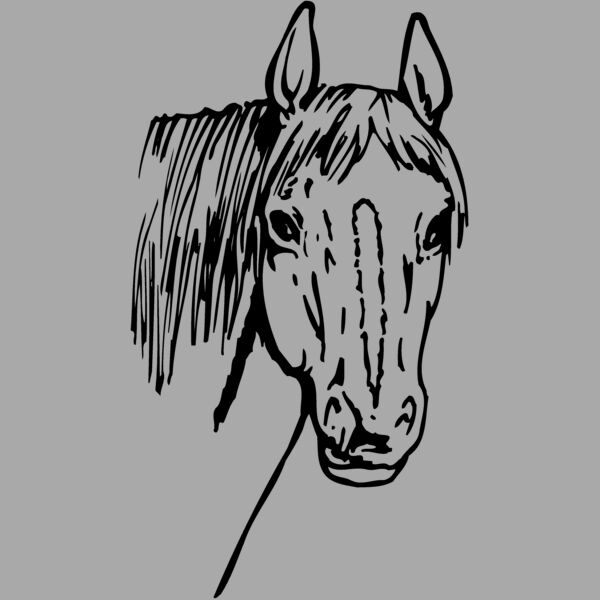 HORSE003 Thumbnail