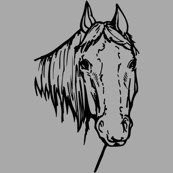 HORSE004 Thumbnail