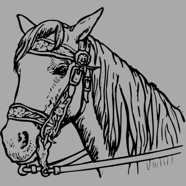 HORSE005 Thumbnail