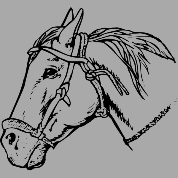 HORSE007 Thumbnail