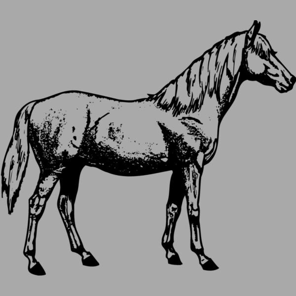 HORSE013 Thumbnail