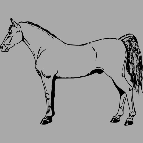 HORSE026 Thumbnail