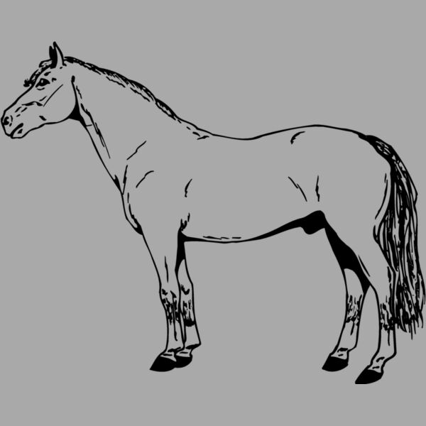 HORSE027 Thumbnail