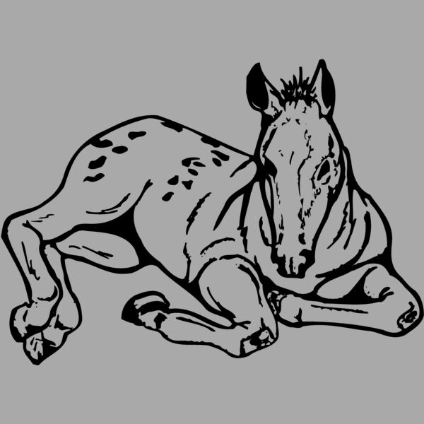HORSE042 Thumbnail