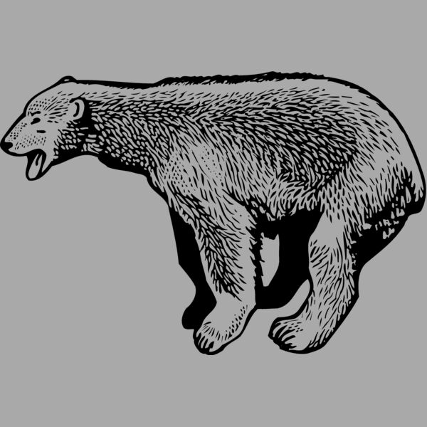 BEAR014_ Thumbnail