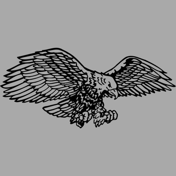 EAGLE003 Thumbnail
