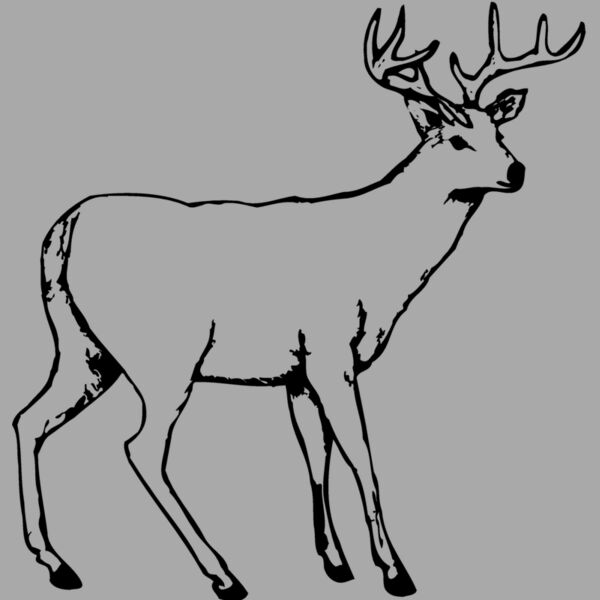 DEER002 Thumbnail