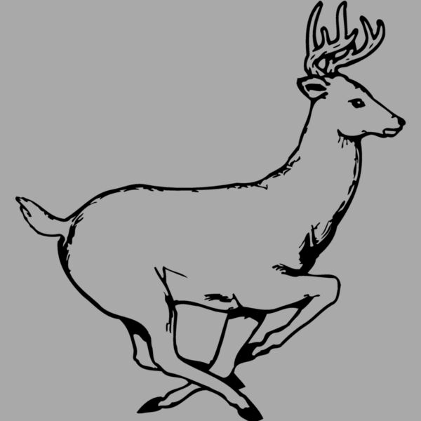 DEER003 Thumbnail