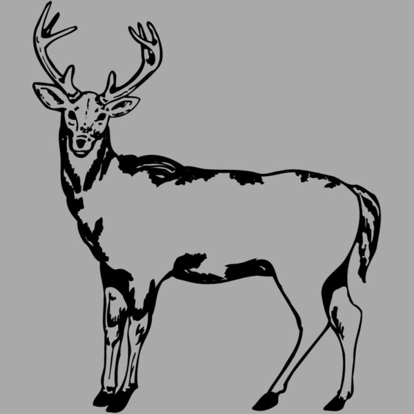 DEER005 Thumbnail