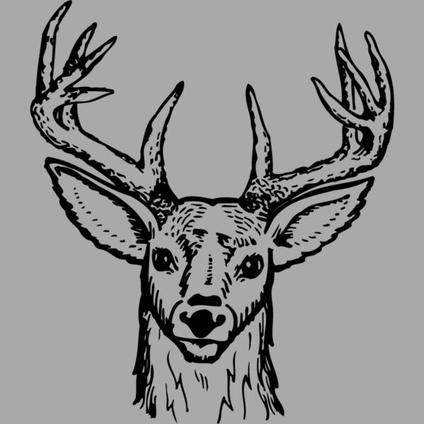 DEER012 Thumbnail