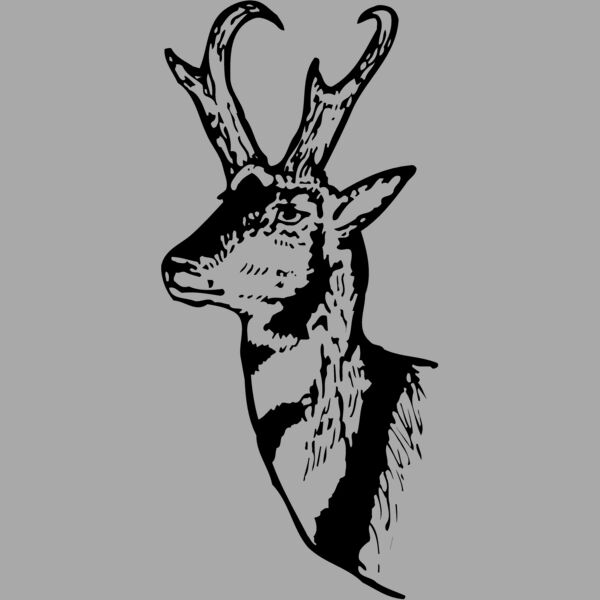 DEER013 Thumbnail