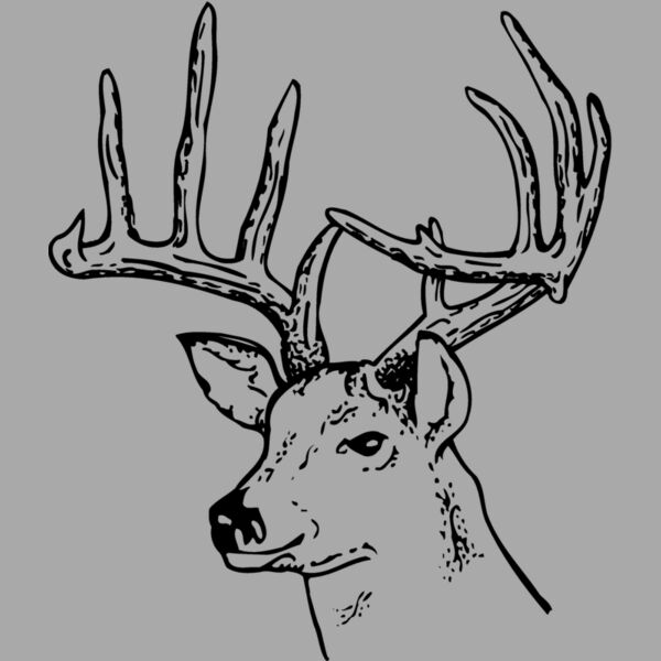 DEER014 Thumbnail