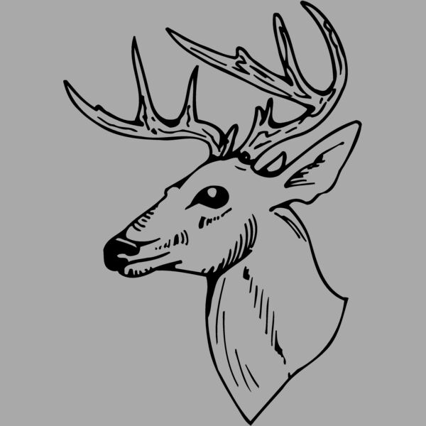 DEER018 Thumbnail
