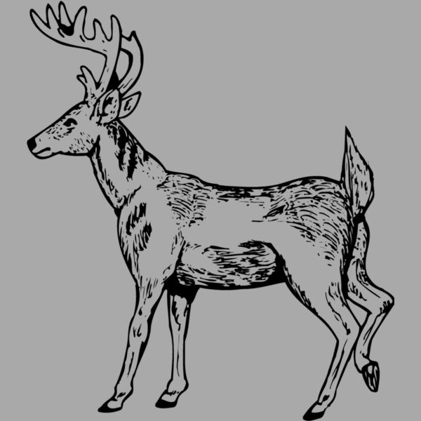 DEER019 Thumbnail