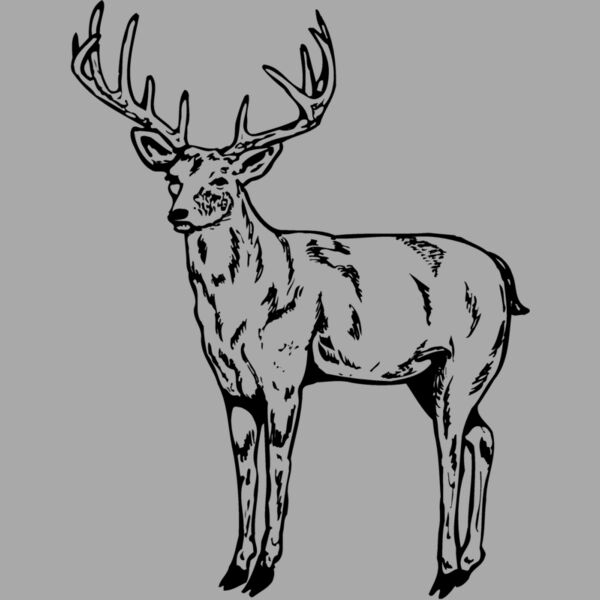 DEER021 Thumbnail
