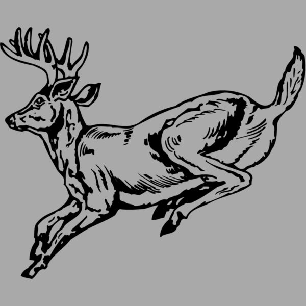 DEER027 Thumbnail