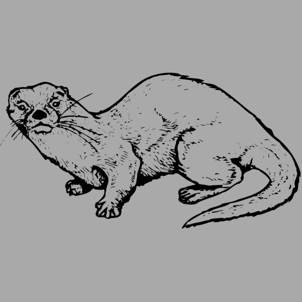 OTTER002 Thumbnail