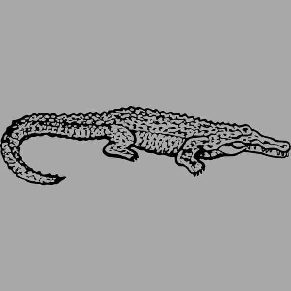 GATOR02 Thumbnail