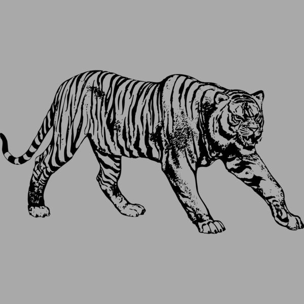 TIGER005 Thumbnail
