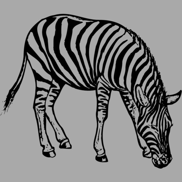 ZEBRA001 Thumbnail