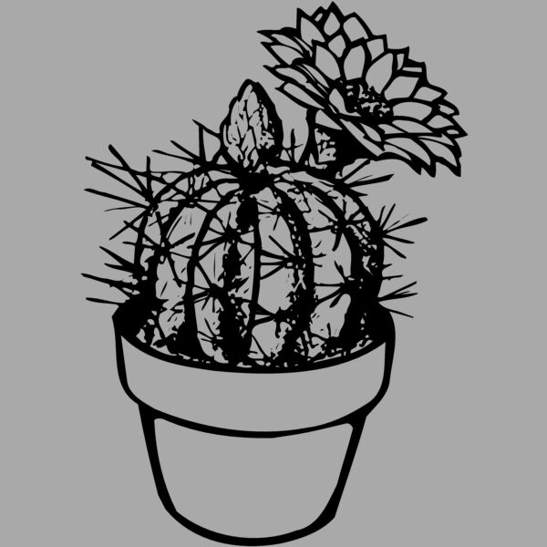 CACTUS01 Thumbnail