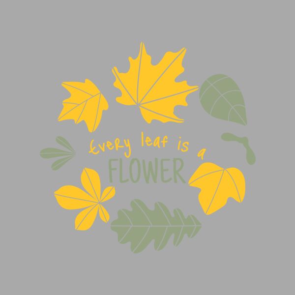 Fall Season 13 Thumbnail