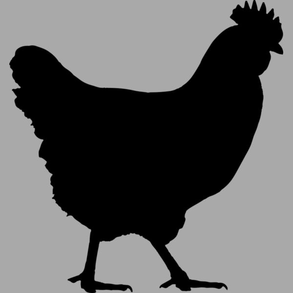 Chicken   Clipart 1 Thumbnail
