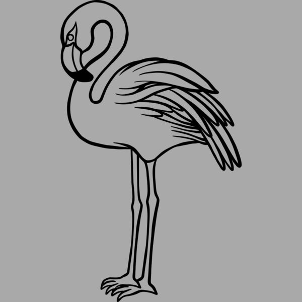 Flamingo   Clipart 1 Thumbnail