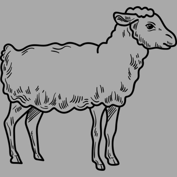 Lamb   Clipart 3 Thumbnail