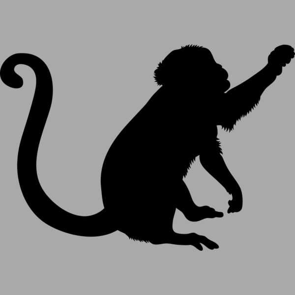 Monkey   Clipart 2 Thumbnail