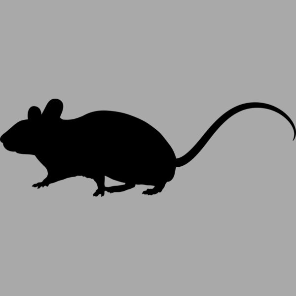 Mouse   Clipart 1 Thumbnail