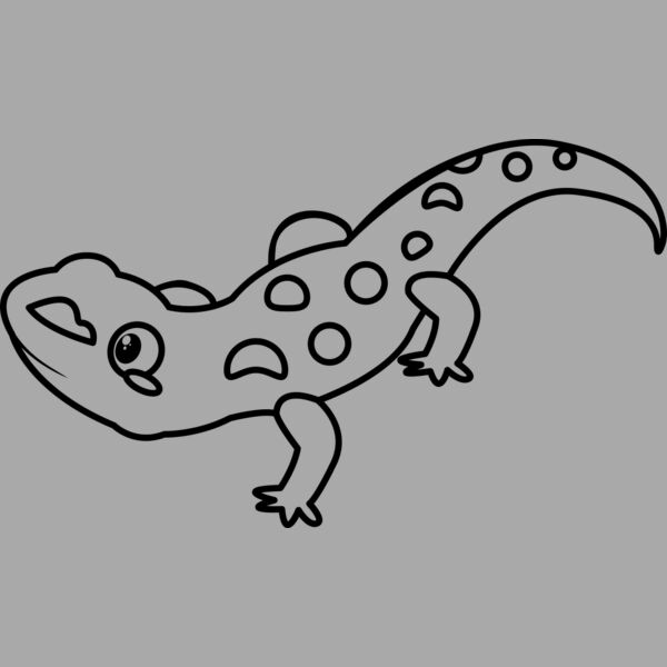 Newt   Clipart 2 Thumbnail