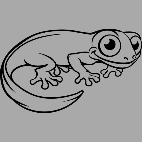 Newt   Clipart 3 Thumbnail