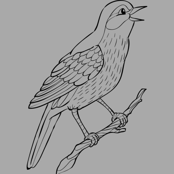 Nightingale   Clipart 2 Thumbnail