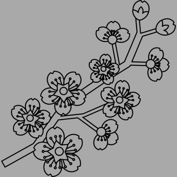 Cherry Blossom Branch Thumbnail