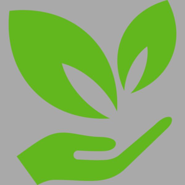 51 Leaves in hands Thumbnail